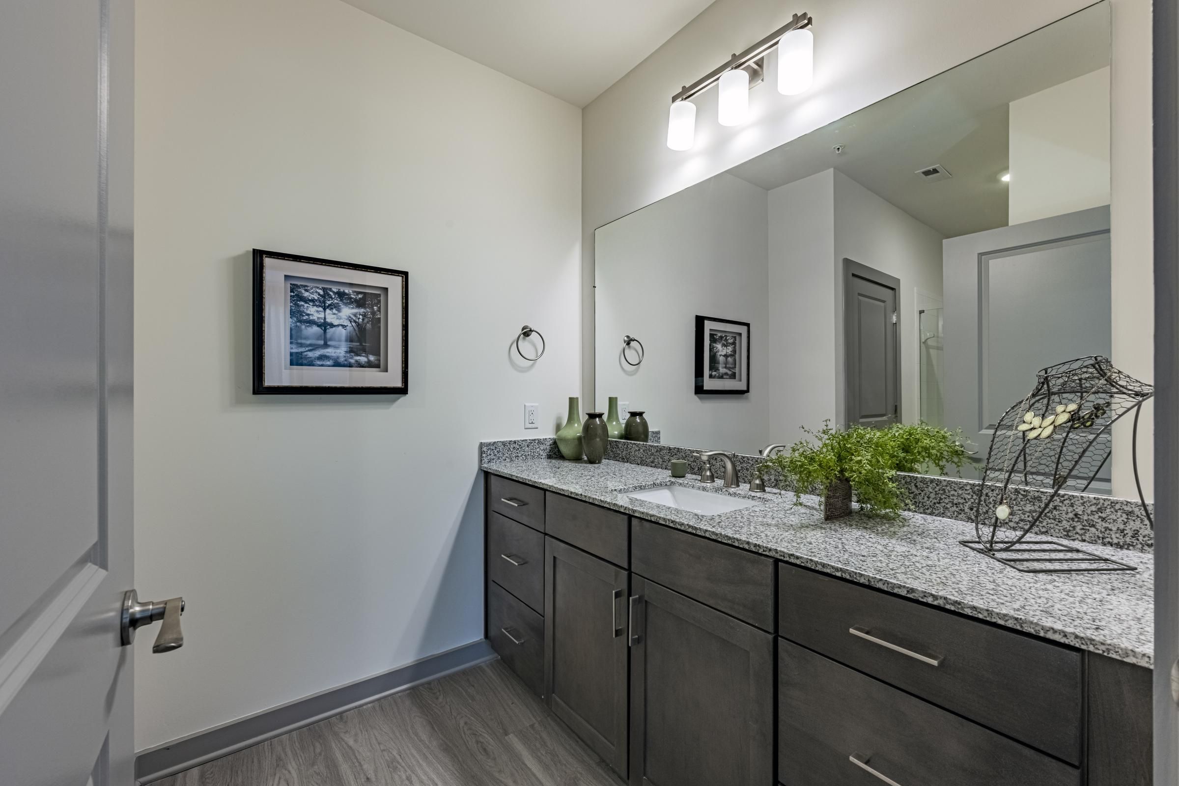 Modern bathroom with granite countertop, large mirror, dark cabinets, and decorative plants and artwork.