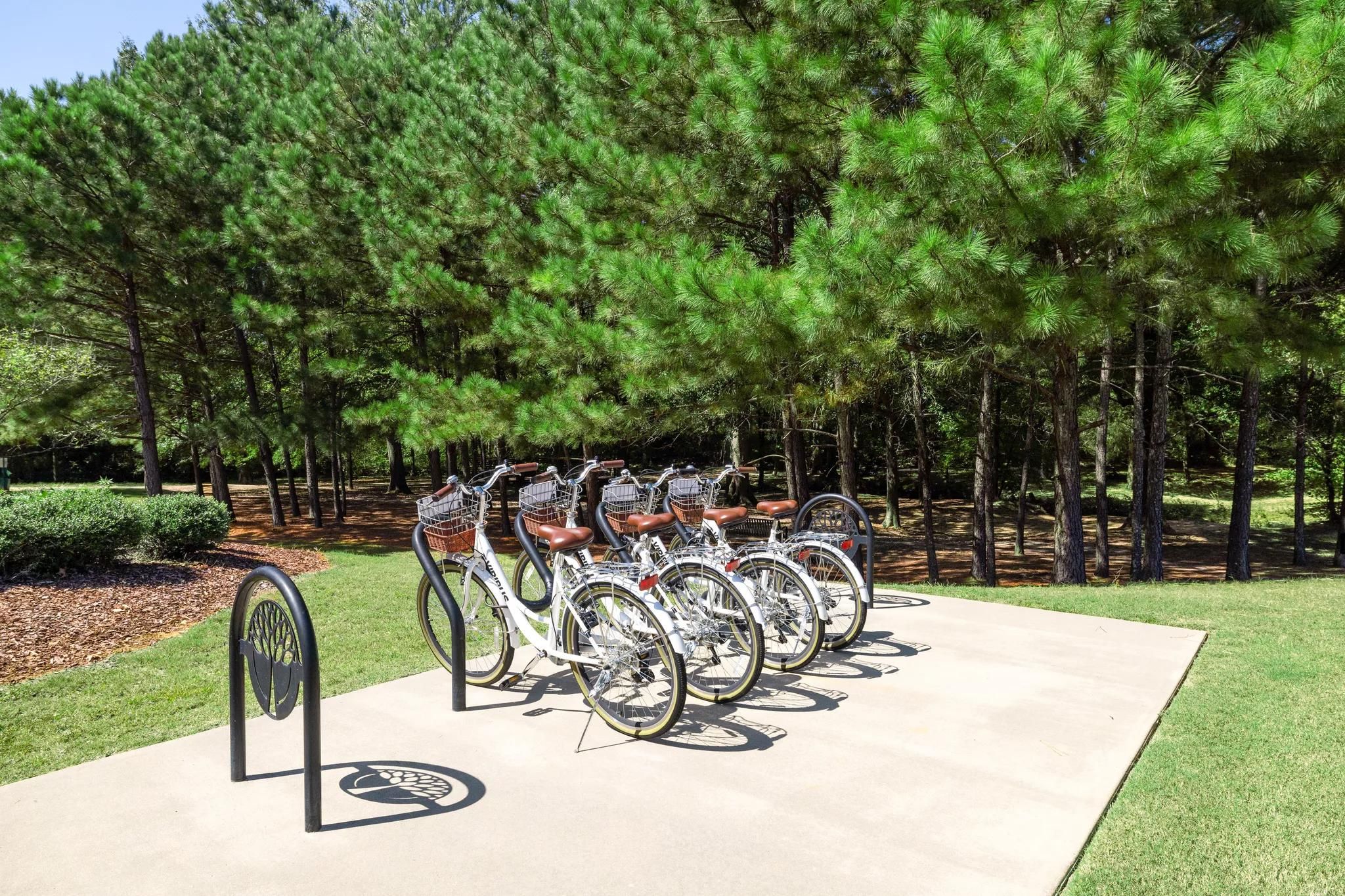 Six white bicycles parked at a bike rack on a concrete pad near a wooded area with tall pine trees.